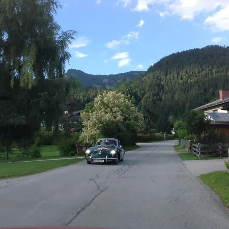 Krummholz * Haus im Ennstal