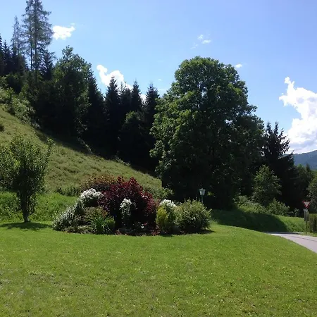 Krummholz * Haus im Ennstal