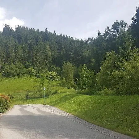 Apartment Krummholz Haus im Ennstal